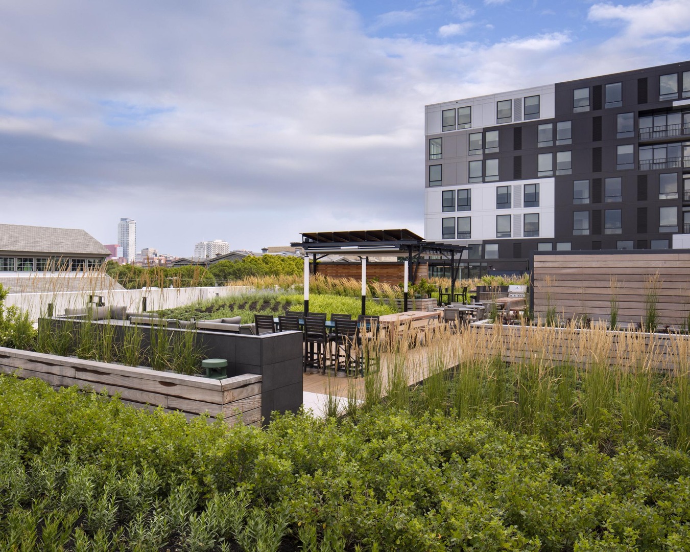 Rooftop greenery
